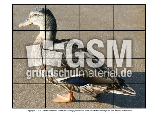 Puzzle-Stockente-3.pdf
